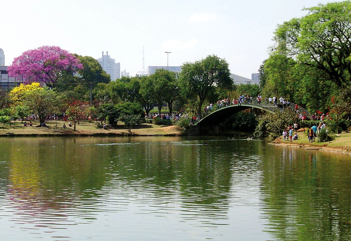 Parque ibirapuera van executive line