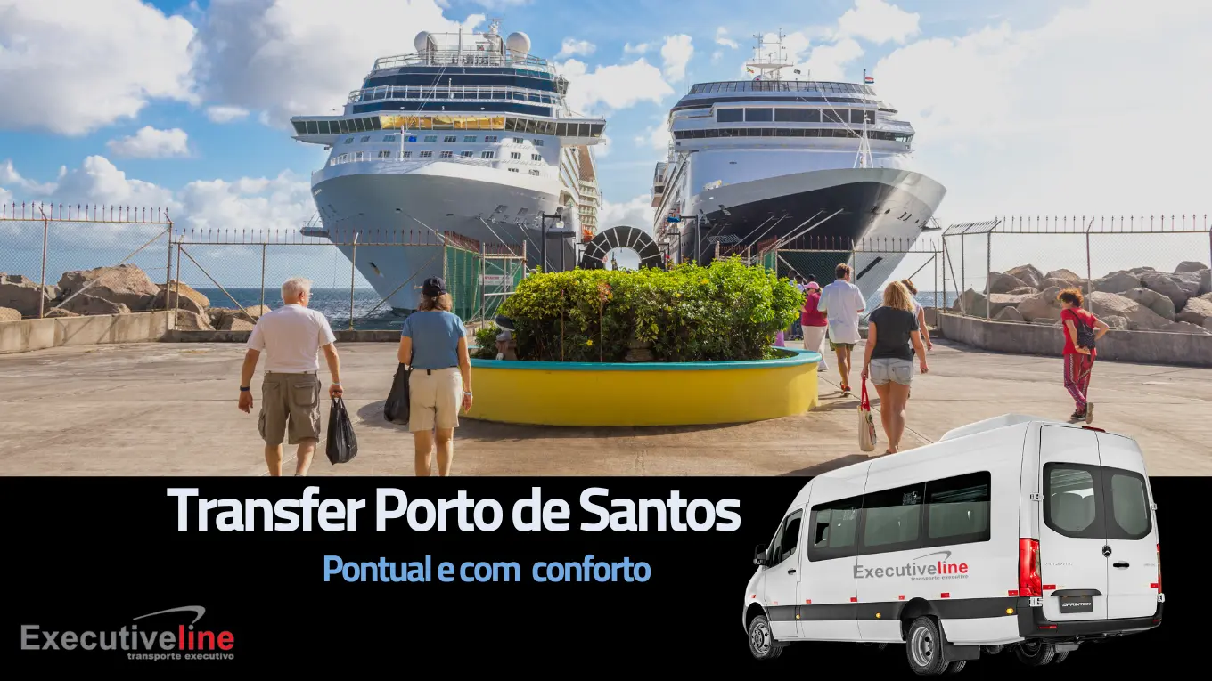 Um cruzeiro para o Porto de Santos